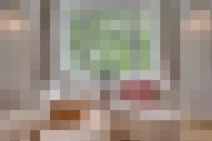 Deken van Oppensingel 235 Venlo thumbnail 7