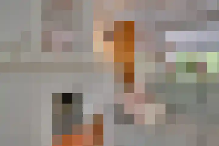 Deken van Oppensingel 235 Venlo thumbnail 9