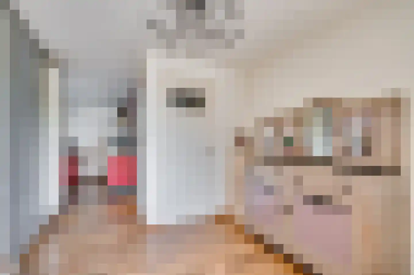Deken van Oppensingel 29 Venlo thumbnail 25