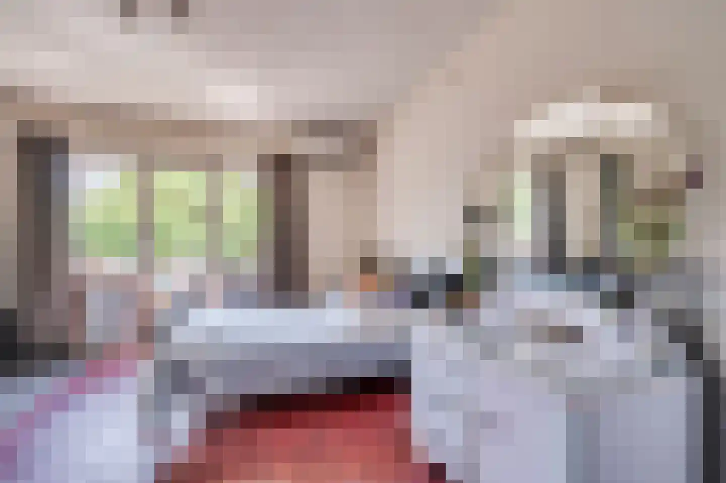 Deken van Oppensingel 29 Venlo thumbnail 34