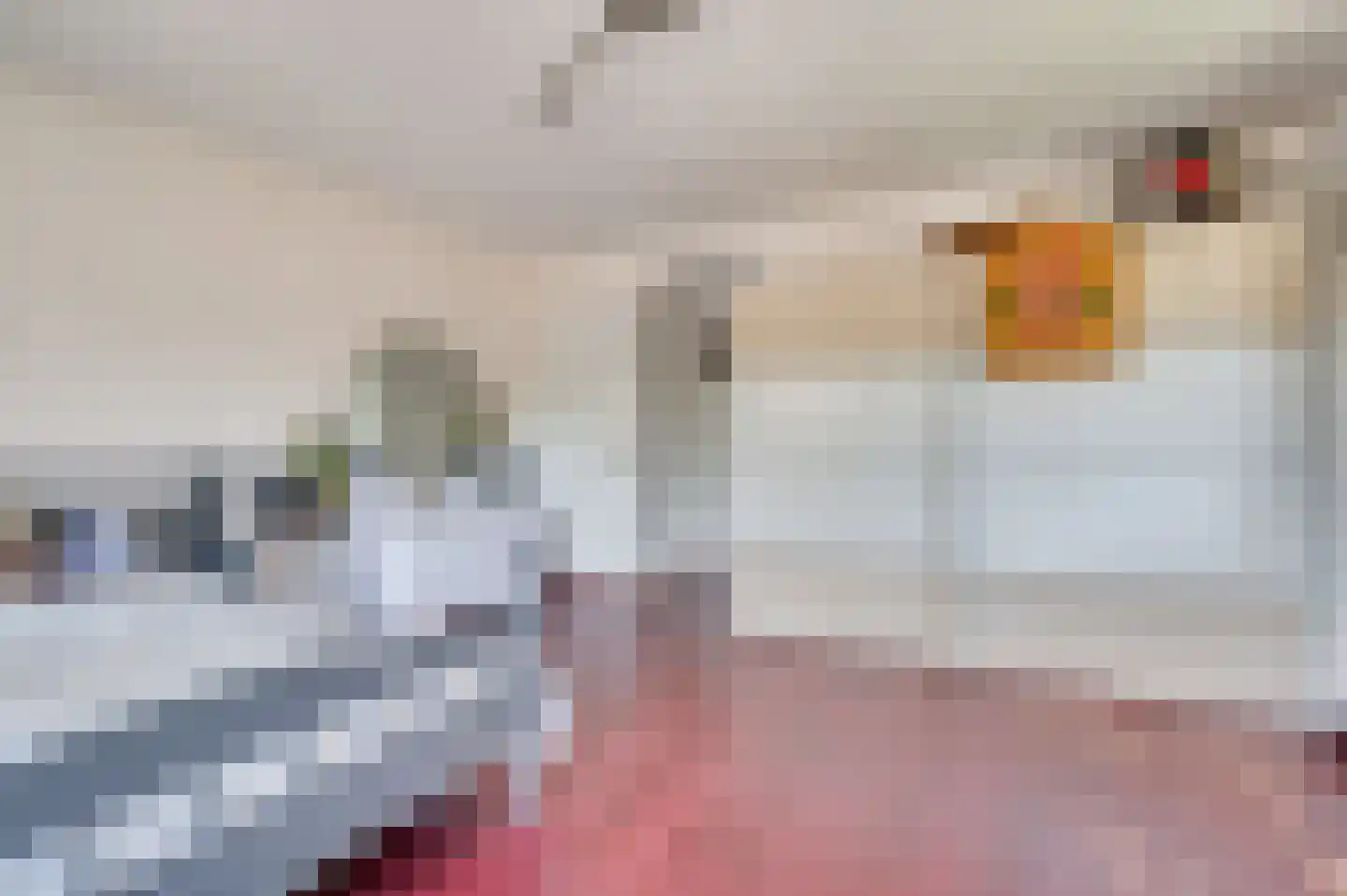 Deken van Oppensingel 29 Venlo thumbnail 36