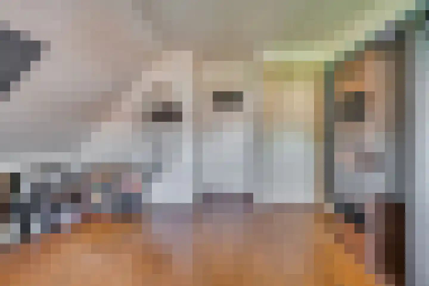 Deken van Oppensingel 29 Venlo thumbnail 40