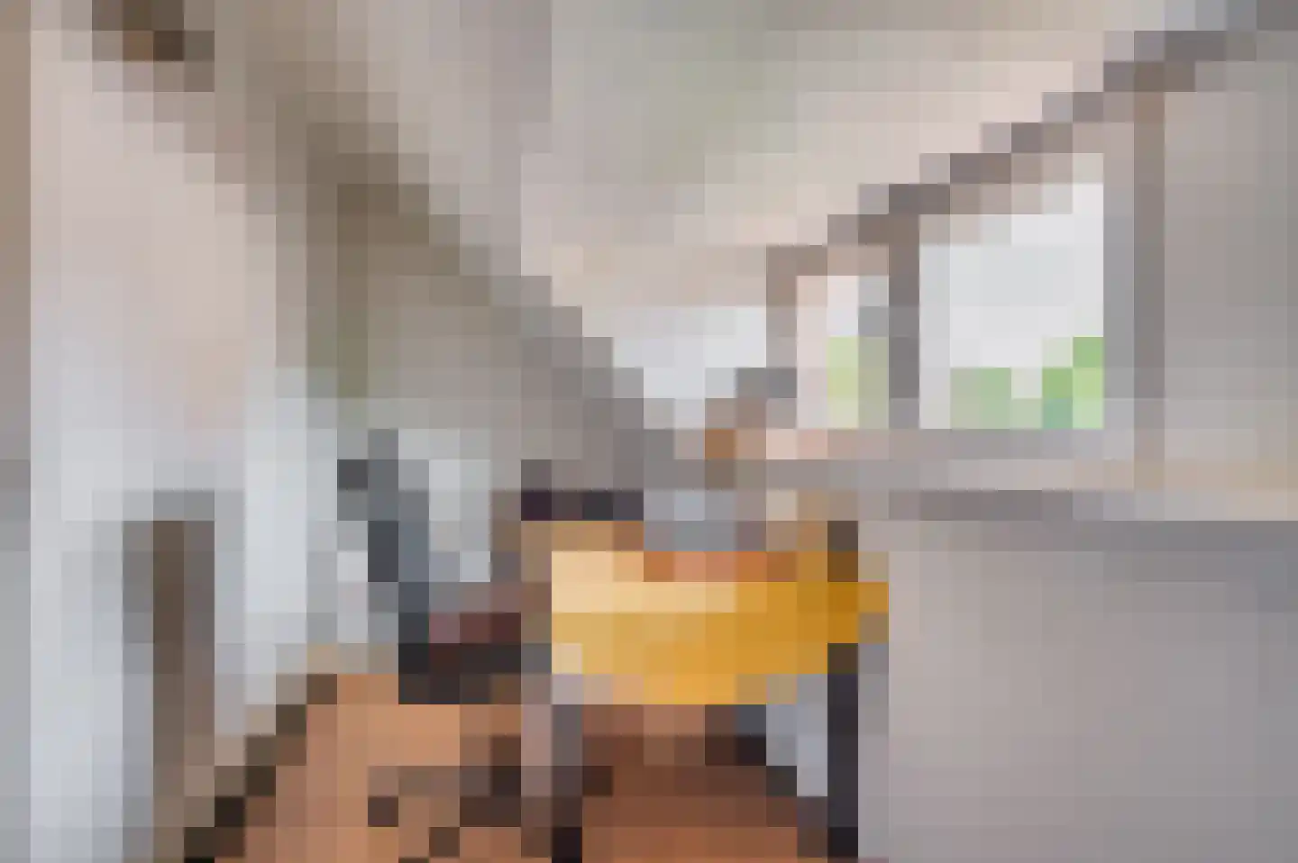 Deken van Oppensingel 29 Venlo thumbnail 42