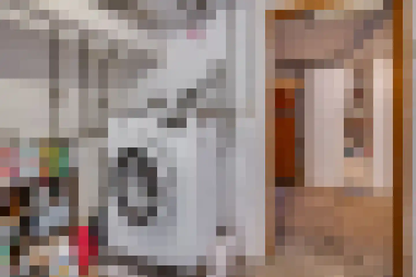Deken van Oppensingel 29 Venlo thumbnail 47