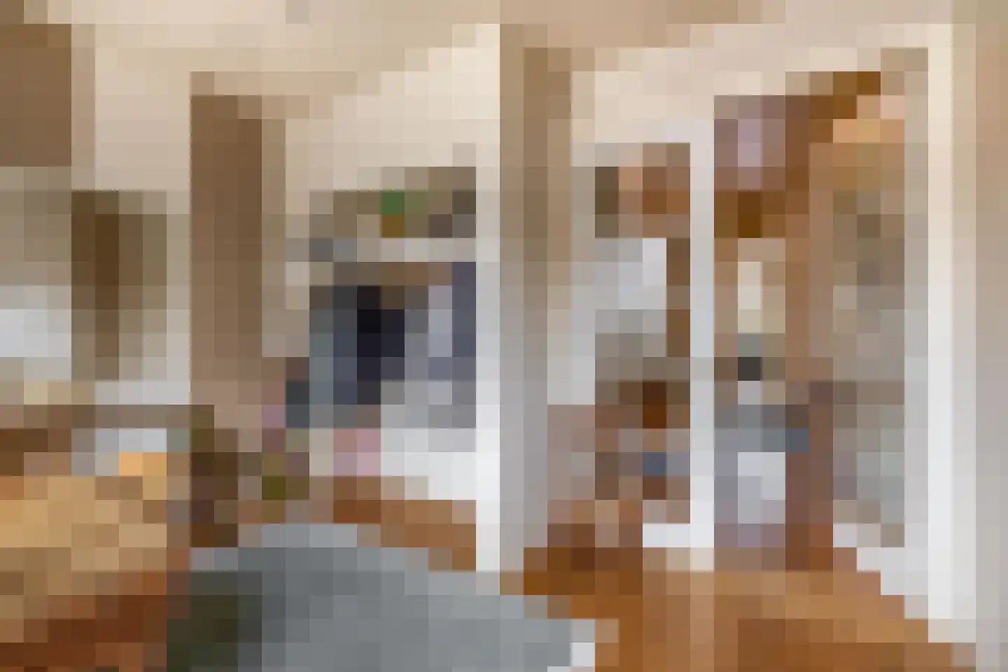 Deken van Oppensingel 57 Venlo thumbnail 11