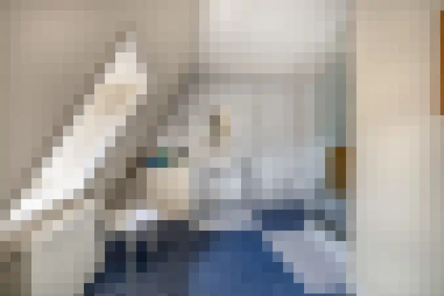 Deken van Oppensingel 57 Venlo thumbnail 27