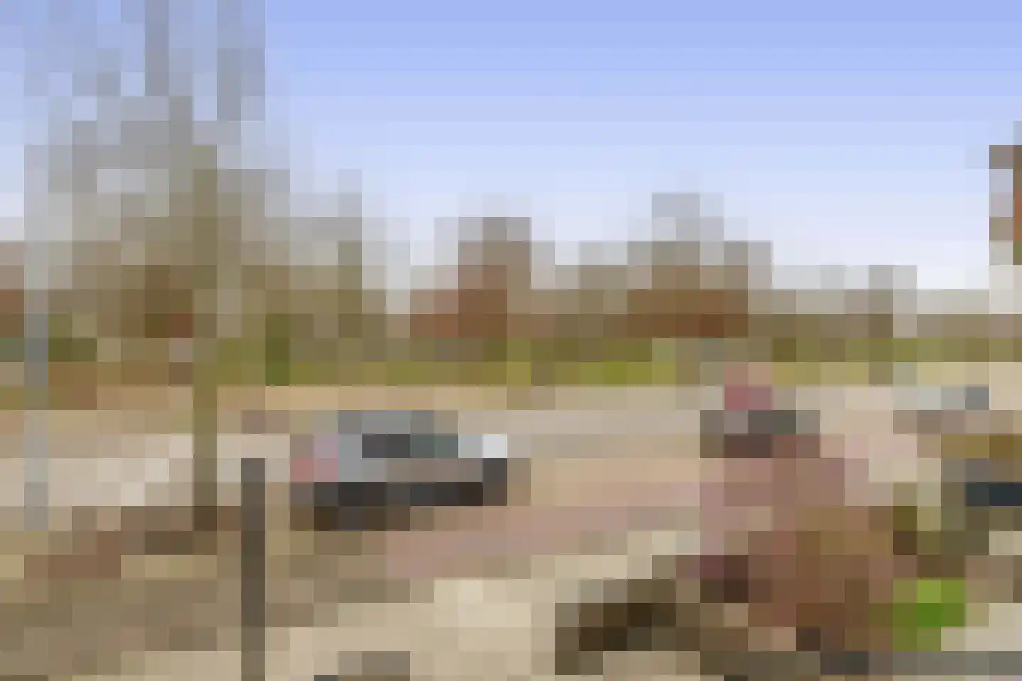 Deken van Oppensingel 57 Venlo thumbnail 39