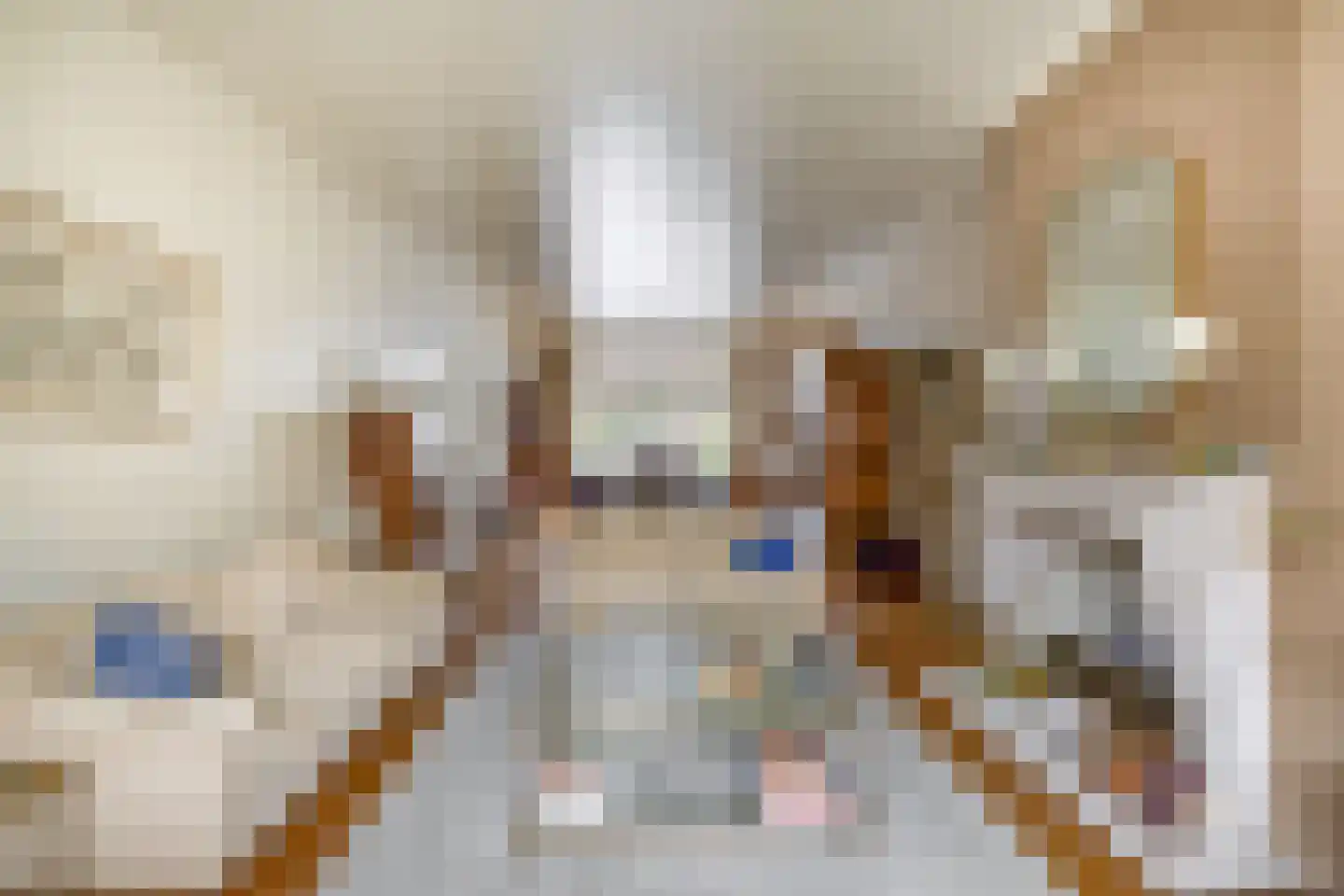 Deken van Oppensingel 57 Venlo thumbnail 5