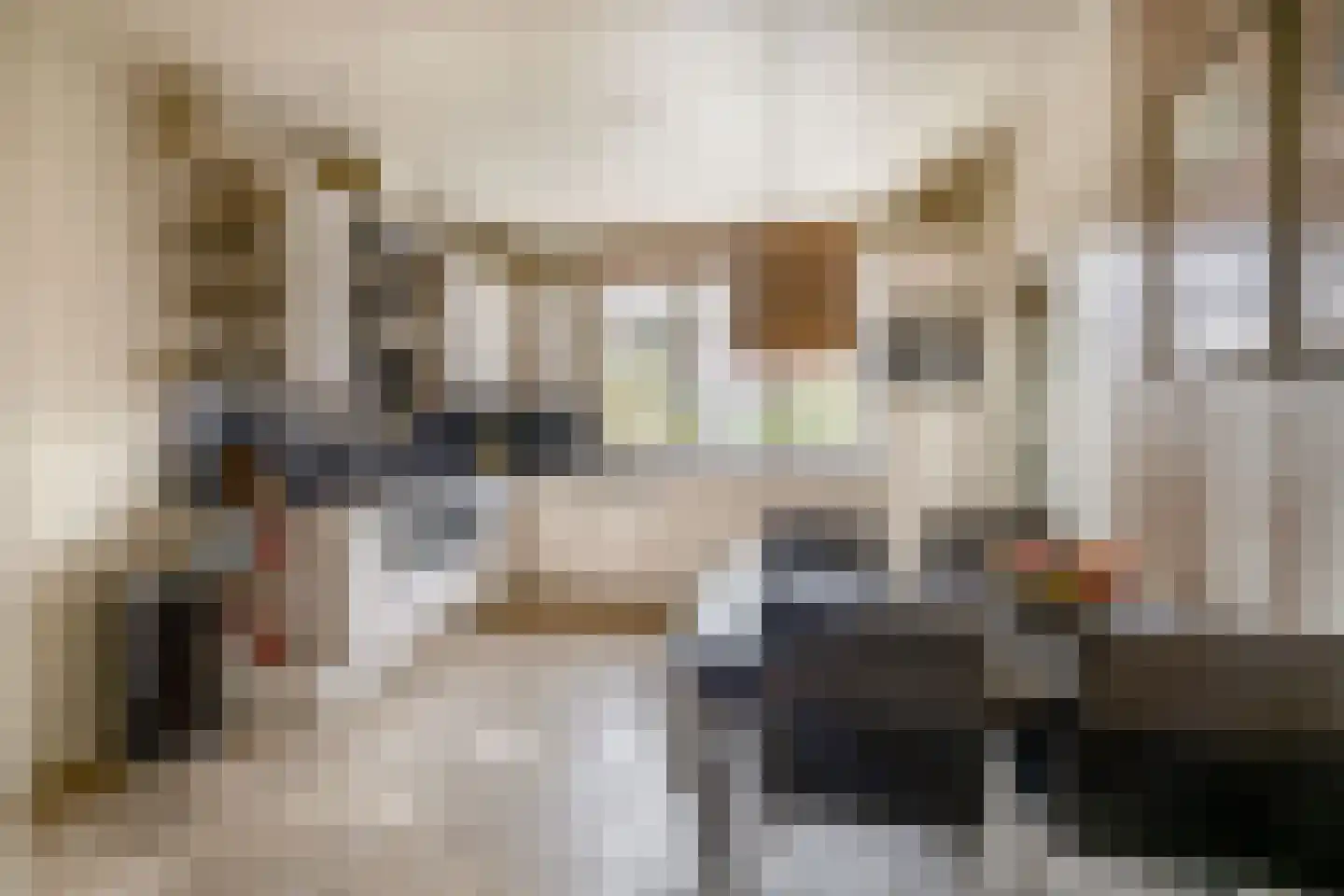 Deken van Oppensingel 57 Venlo thumbnail 7