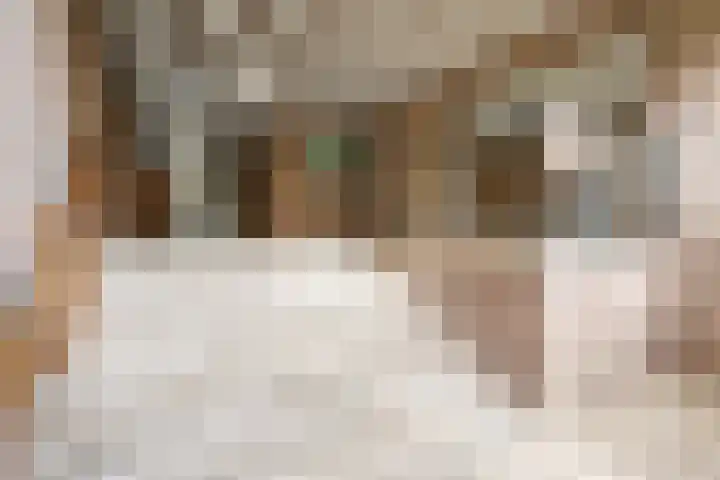 Deken van Oppensingel 81 Venlo thumbnail 11