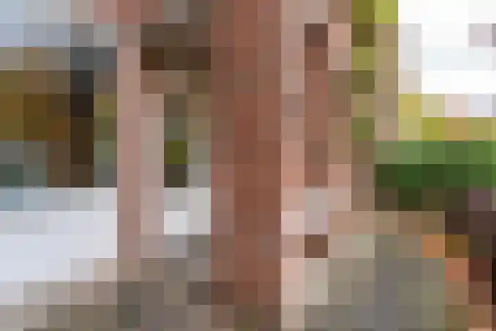 Deken van Oppensingel 81 Venlo thumbnail 24