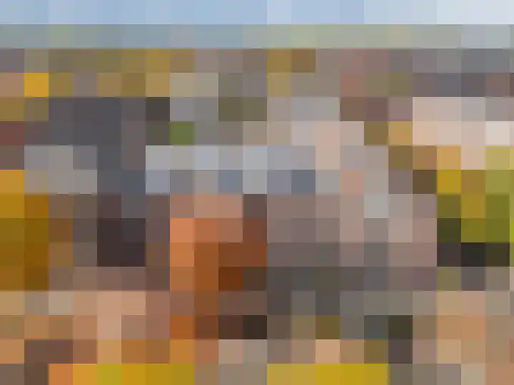 Deken van Oppensingel 81 Venlo thumbnail 4