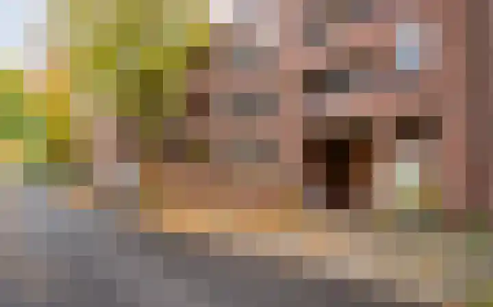 Deken van Oppensingel 81 Venlo thumbnail 45