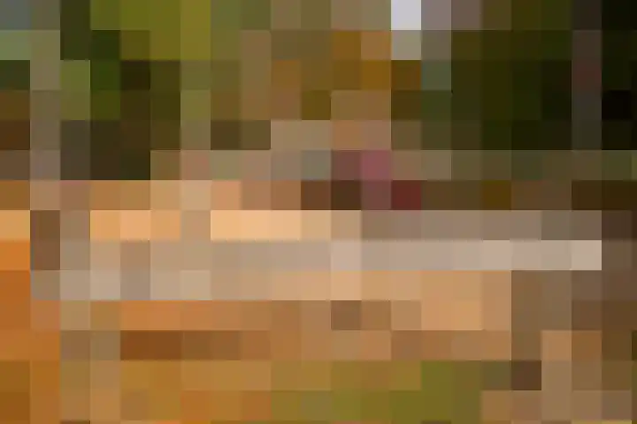 Deken van Oppensingel 81 Venlo thumbnail 52