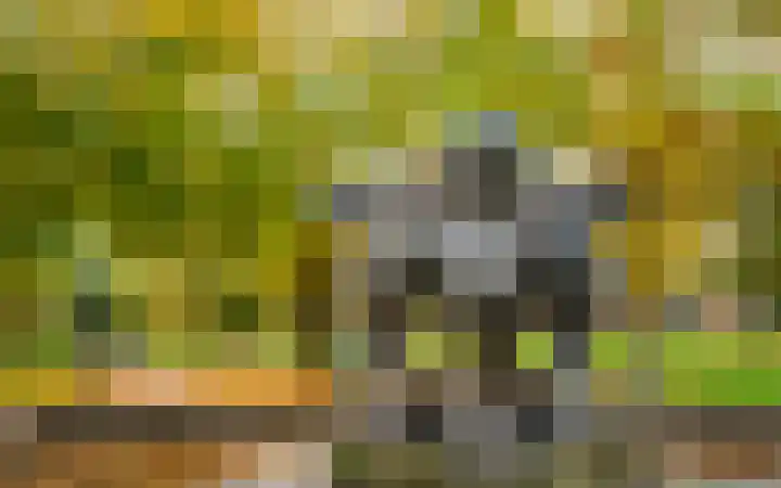 Deken van Oppensingel 81 Venlo thumbnail 54