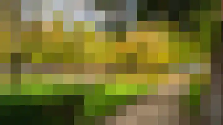 Deken van Oppensingel 81 Venlo thumbnail 55