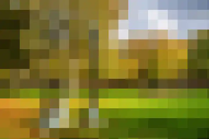 Deken van Oppensingel 81 Venlo thumbnail 56