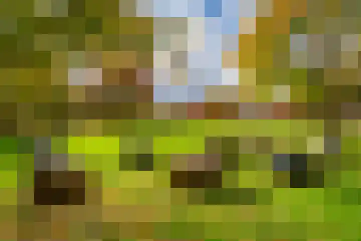 Deken van Oppensingel 81 Venlo thumbnail 57