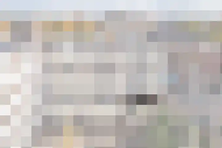 Deken van Oppensingel 81 Venlo thumbnail 9