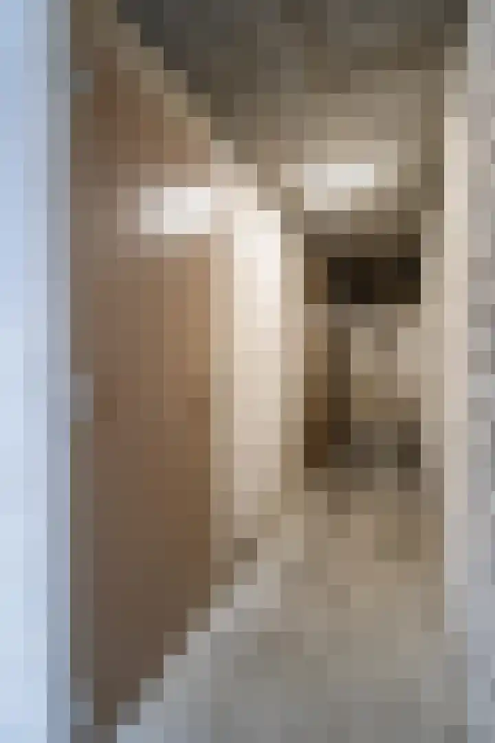 Deken van Oppensingel 87 Venlo thumbnail 38