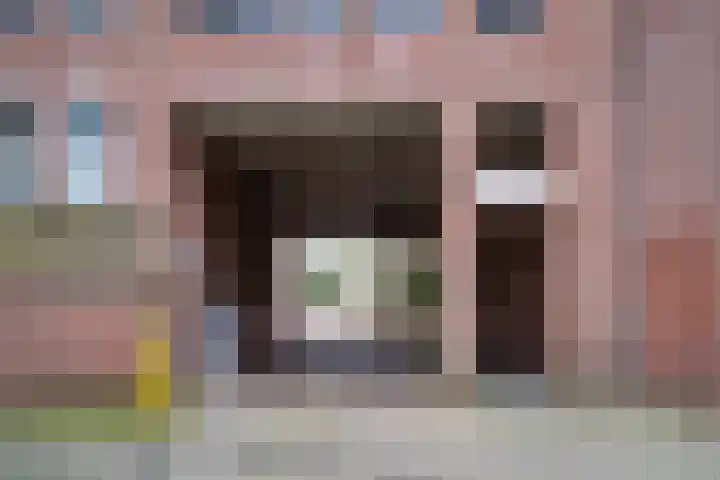 Deken van Oppensingel 87 Venlo thumbnail 42