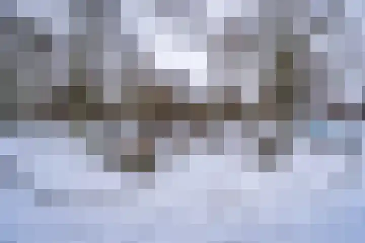 Deken van Oppensingel 87 Venlo thumbnail 51