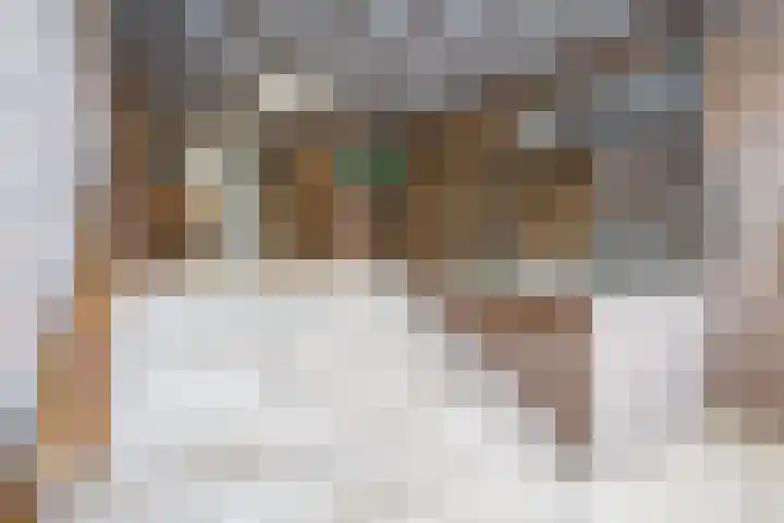 Deken van Oppensingel 87 Venlo thumbnail 8