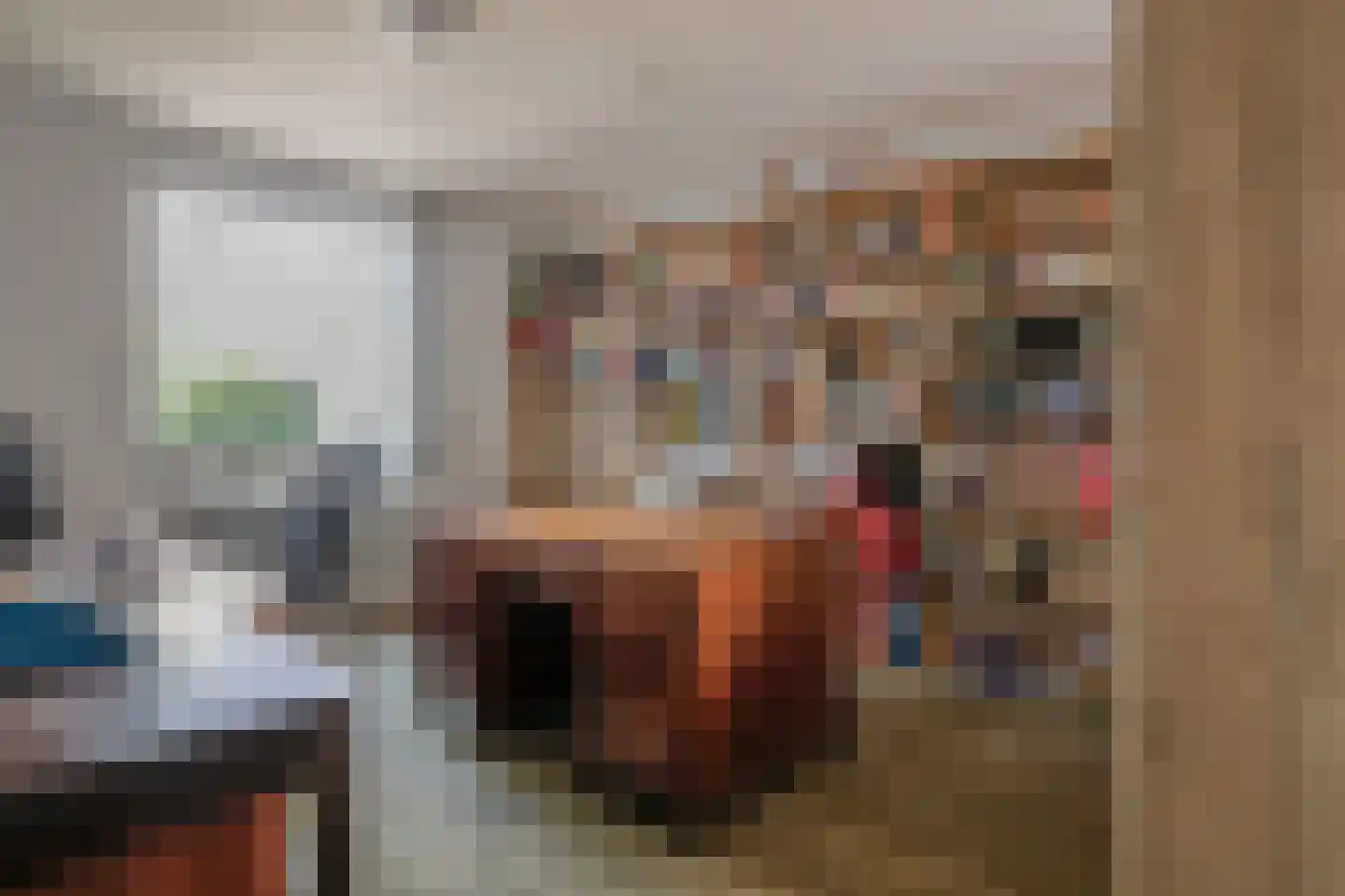 Deken van Ormelingenstraat 24 Kerkrade thumbnail 22