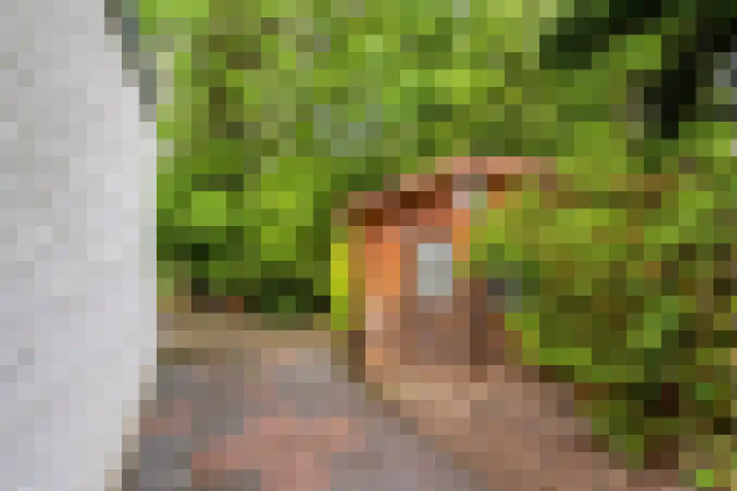 Deken van Ormelingenstraat 27 Kerkrade thumbnail 19
