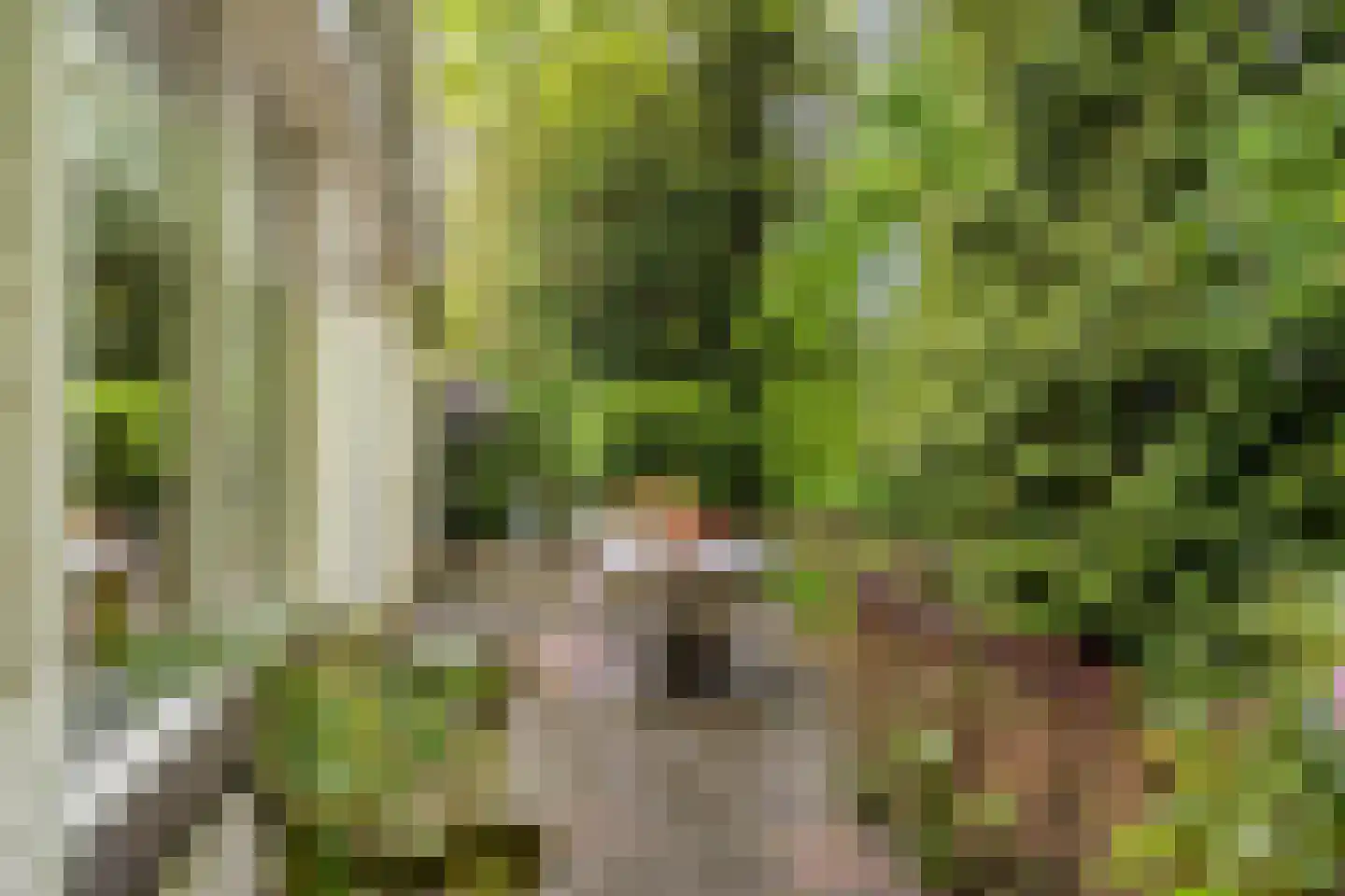 Deken van Ormelingenstraat 27 Kerkrade thumbnail 21