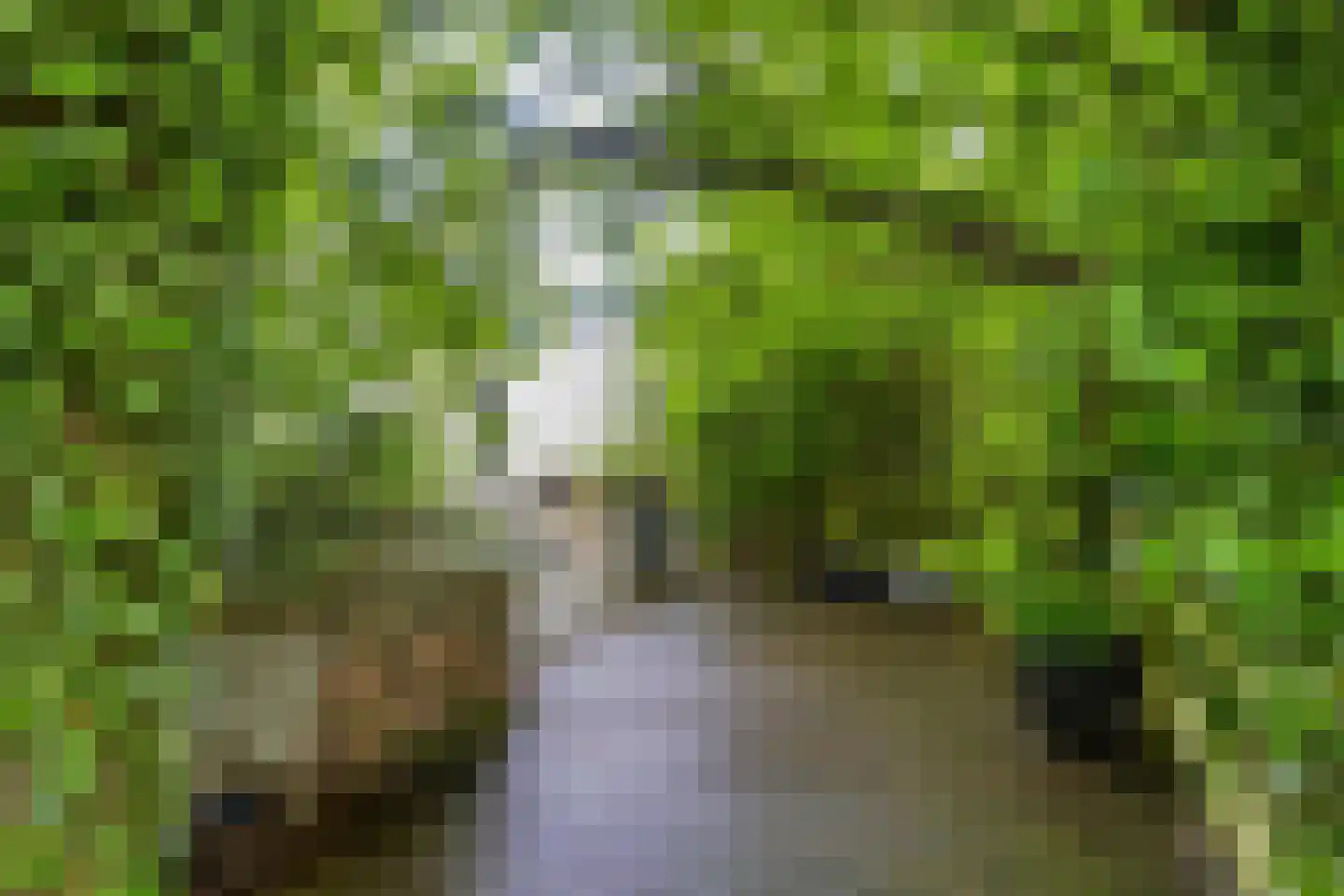Deken van Ormelingenstraat 27 Kerkrade thumbnail 23