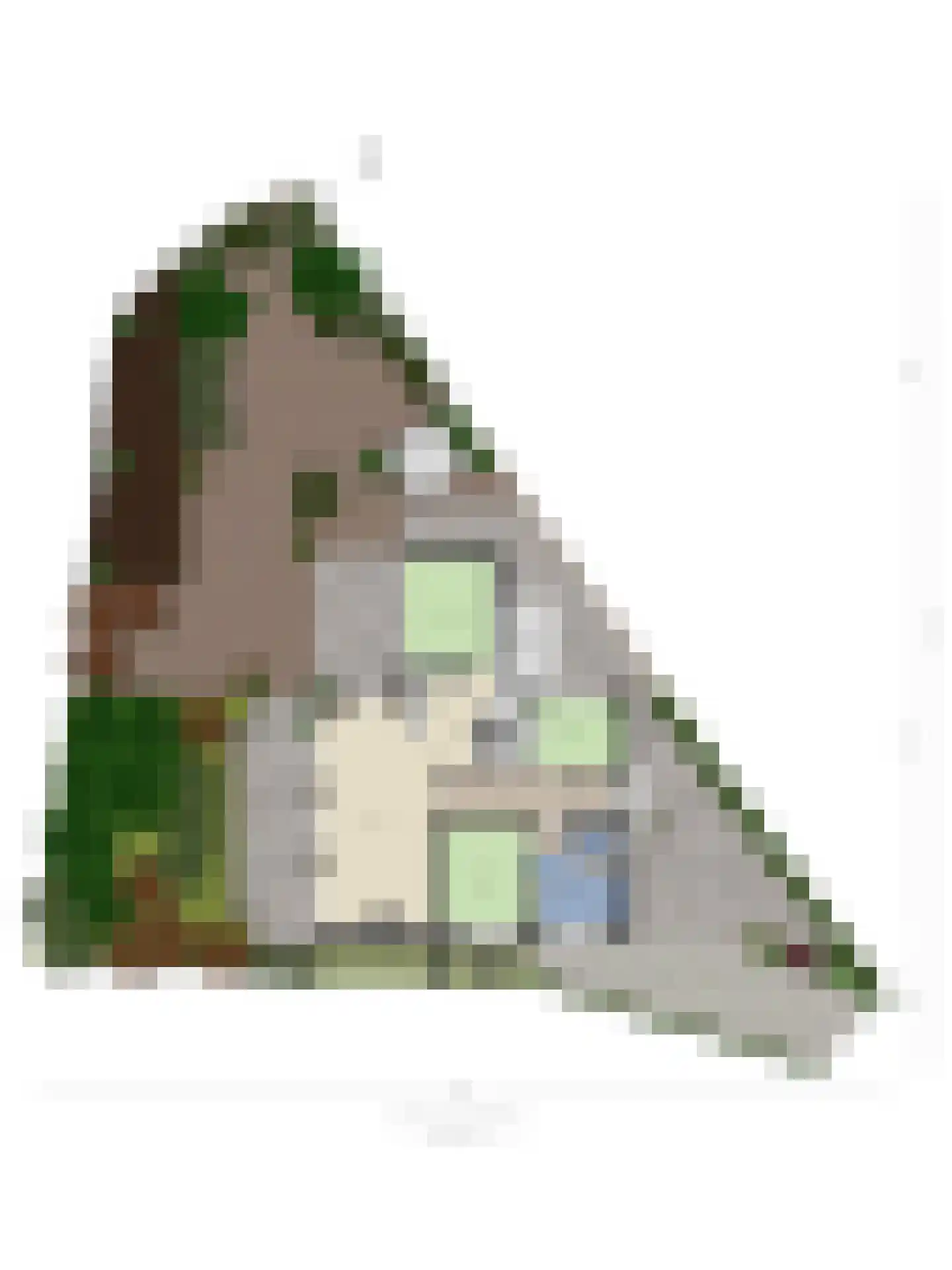 Deken van Ormelingenstraat 27 Kerkrade thumbnail 26