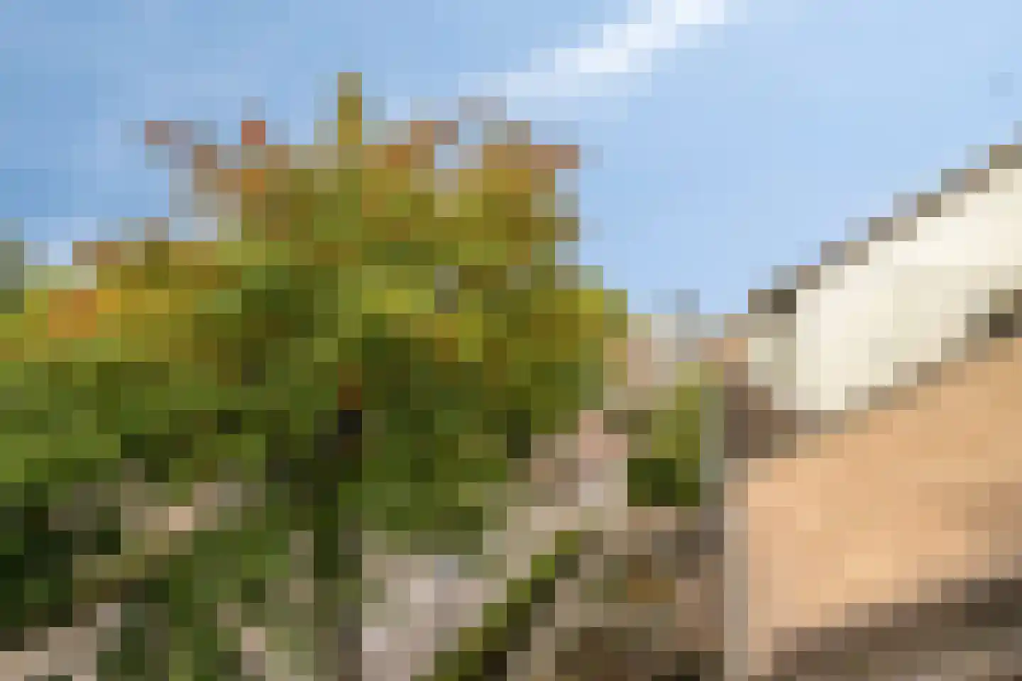 Deken van Roestellaan 28 Rosmalen thumbnail 23