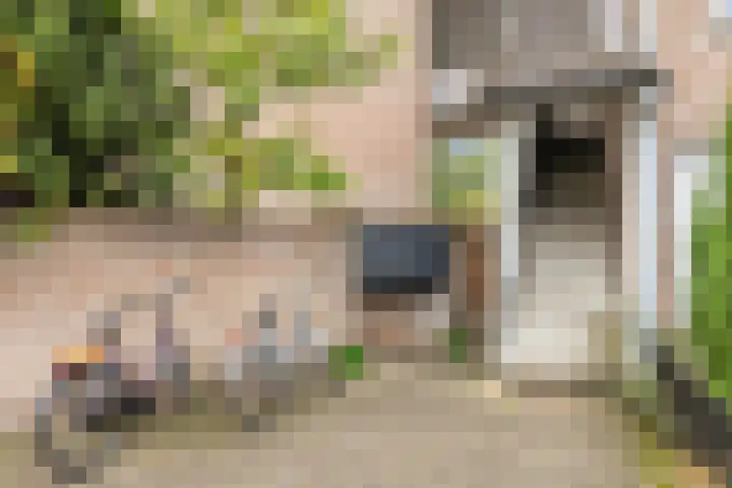 Deken van Roestellaan 28 Rosmalen thumbnail 25