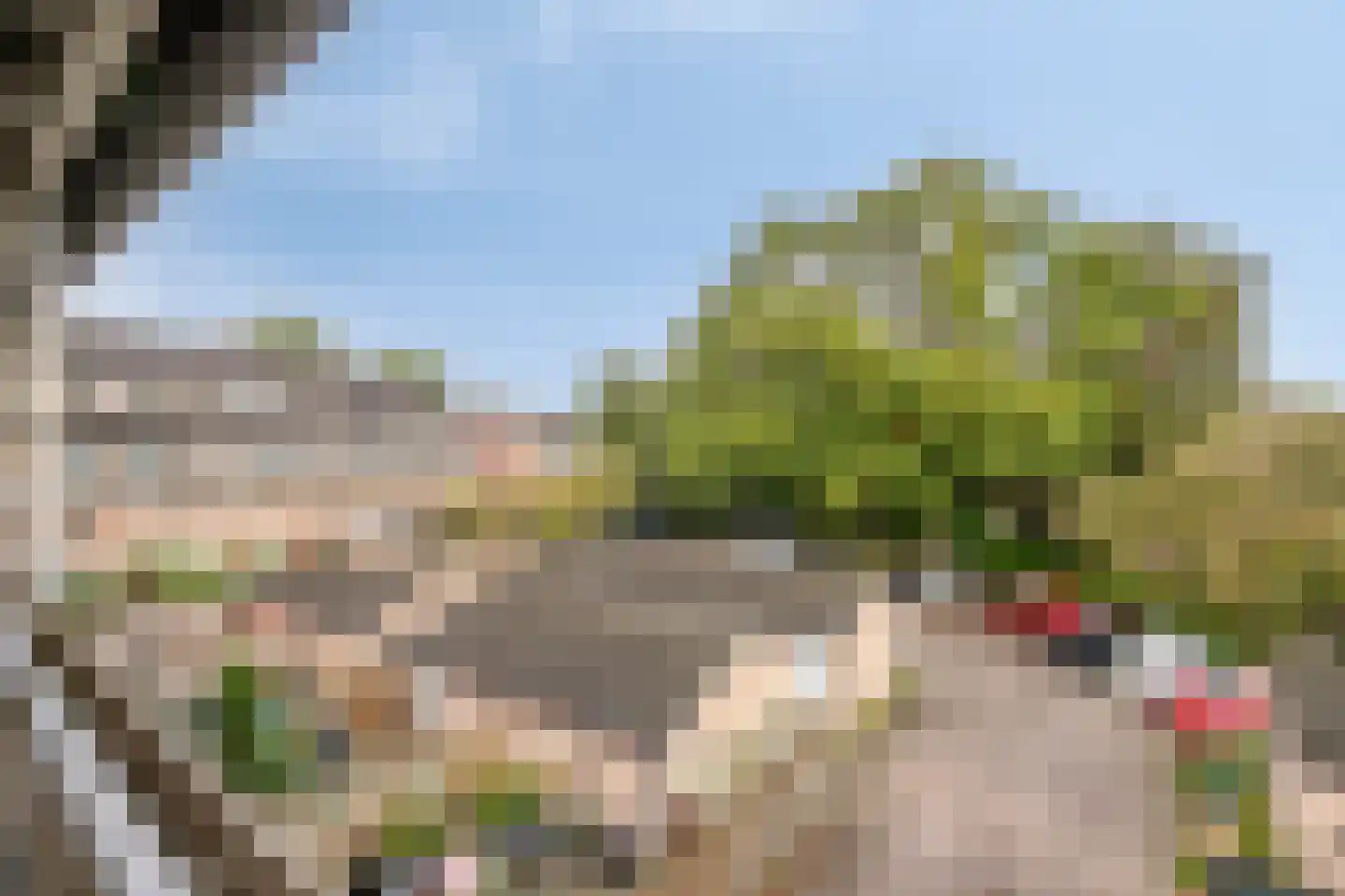 Deken van Roestellaan 28 Rosmalen thumbnail 26
