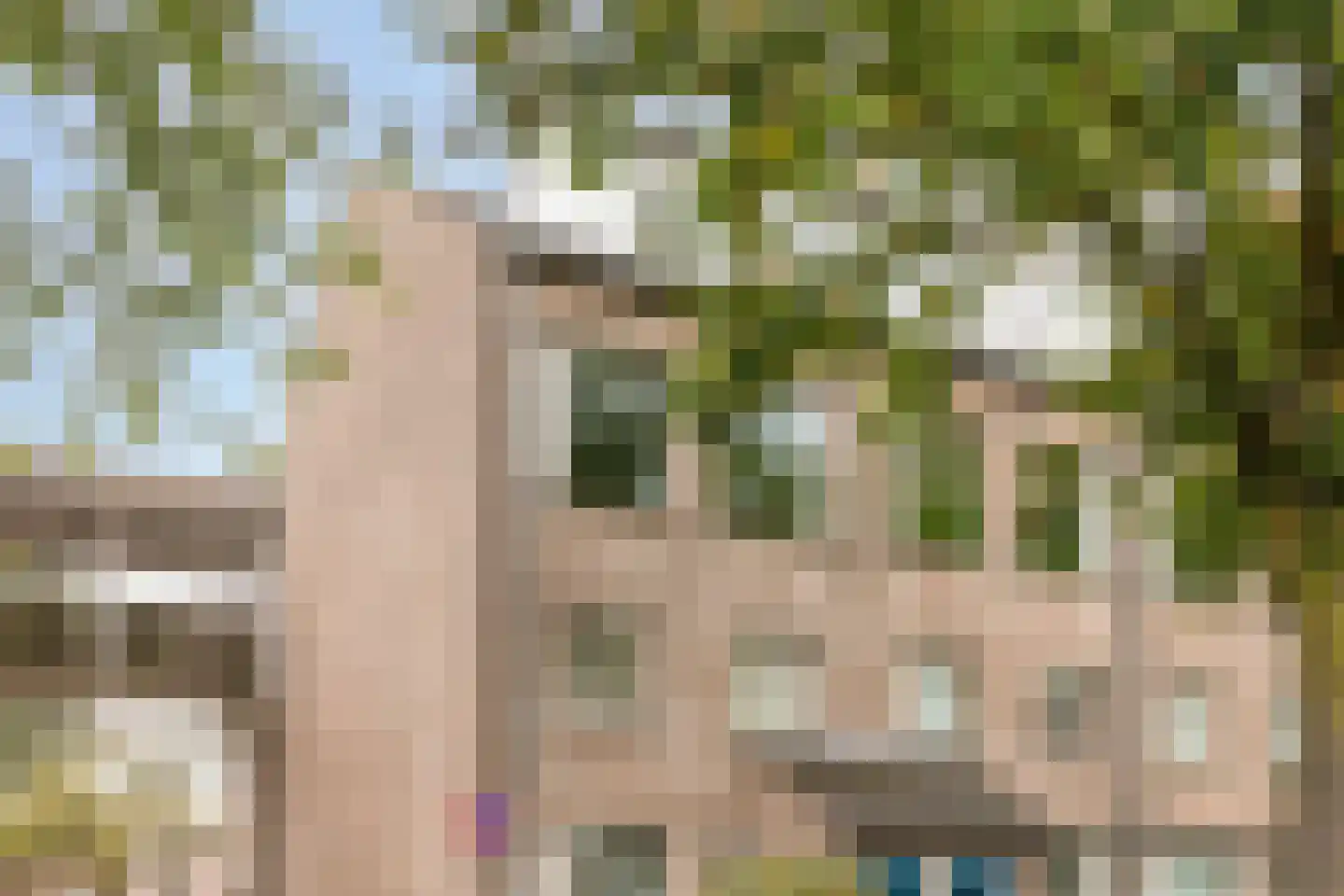 Deken van Roestellaan 28 Rosmalen thumbnail 9