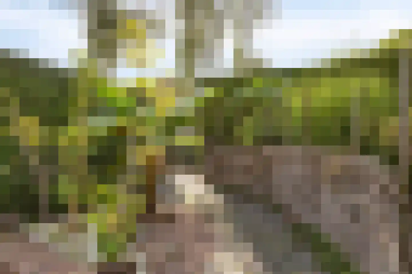 Deken van Roestellaan 35 A Rosmalen thumbnail 13