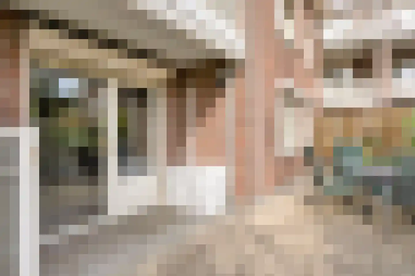 Deken van Roestellaan 35 A Rosmalen thumbnail 28