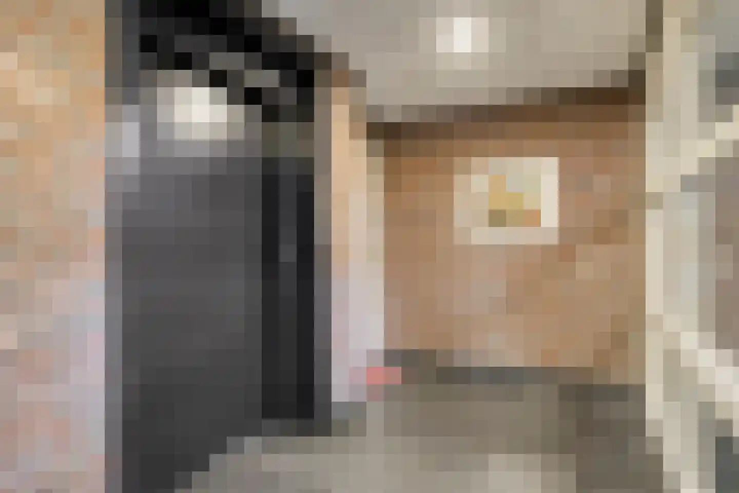 Deken van Roestellaan 35 A Rosmalen thumbnail 32