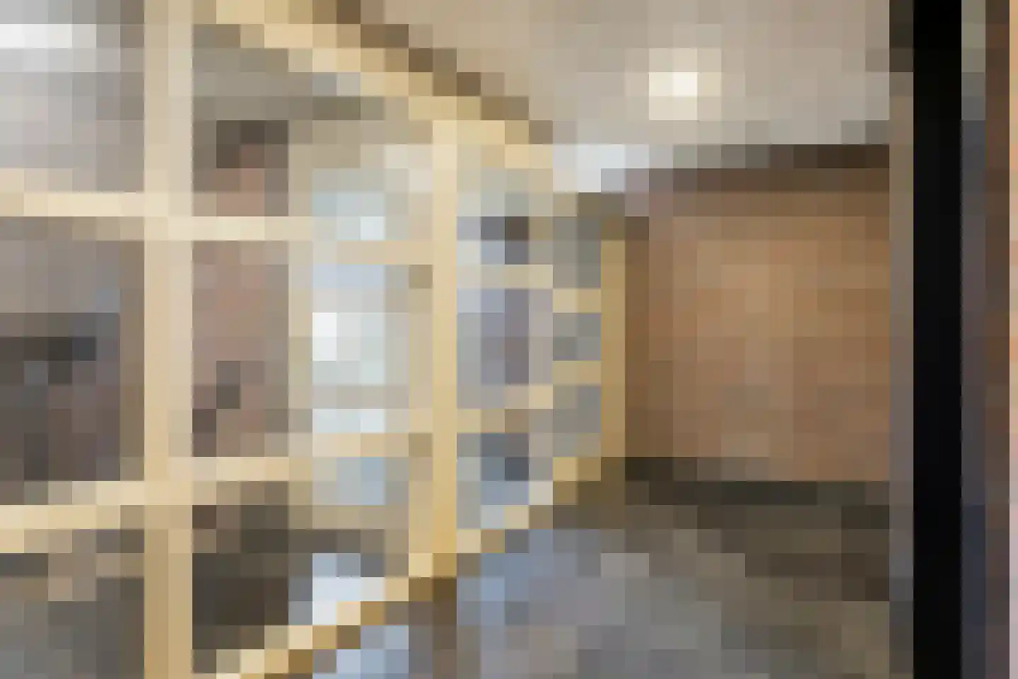 Deken van Roestellaan 35 A Rosmalen thumbnail 33