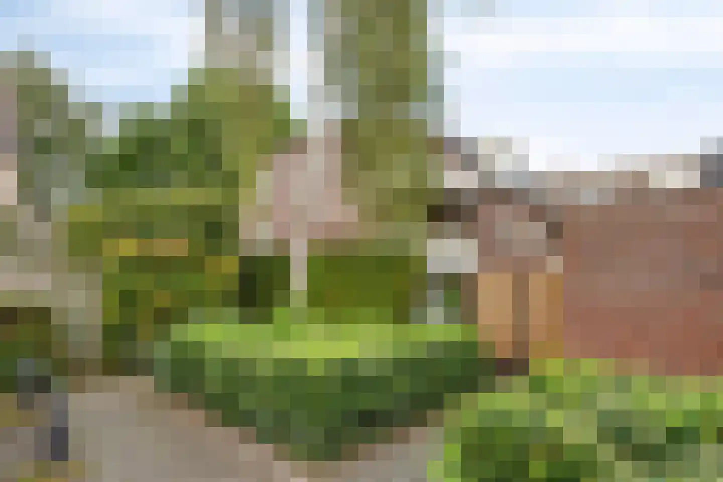 Deken van Roestellaan 35 A Rosmalen thumbnail 38