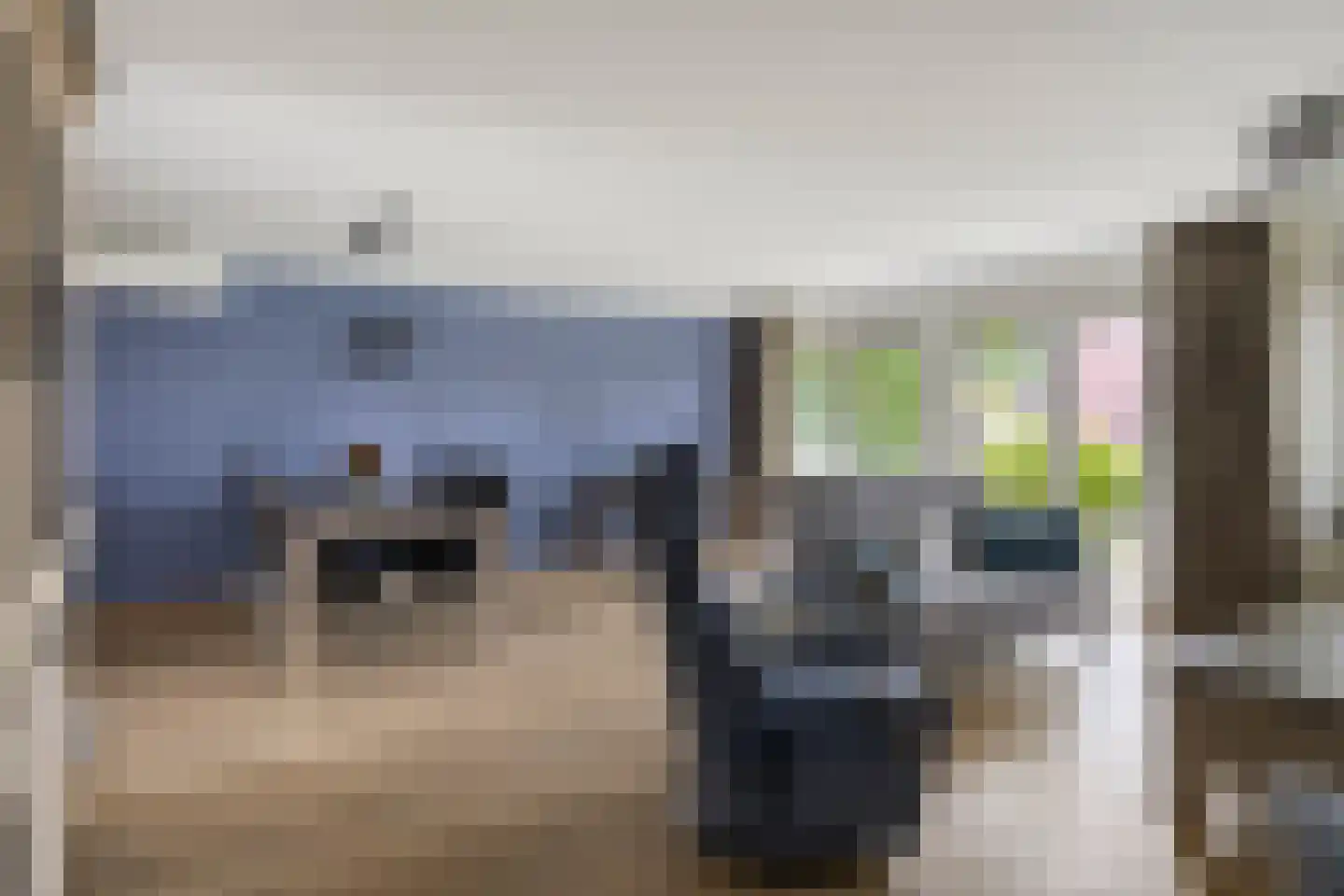 Deken van Roestellaan 35 A Rosmalen thumbnail 6