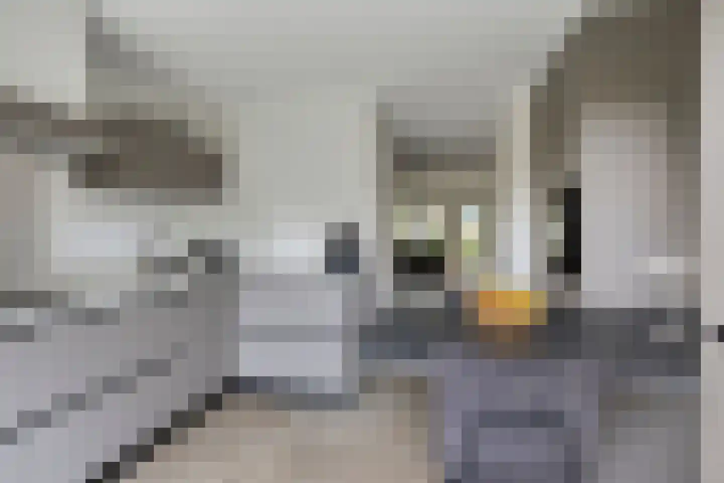Deken van Roestellaan 35 A Rosmalen thumbnail 8