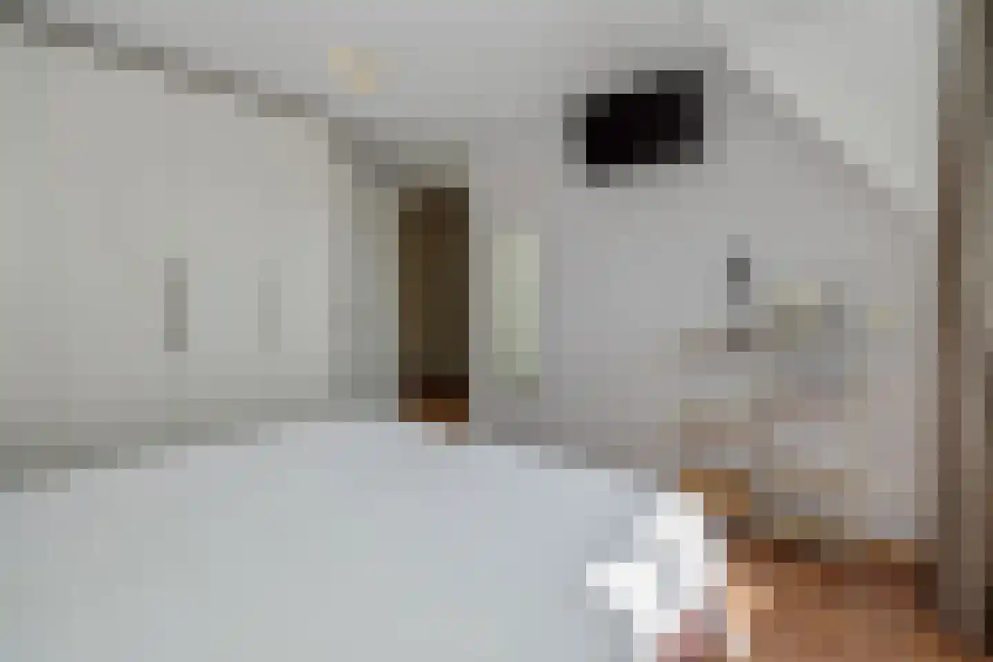Deken van Roestellaan 35 E Rosmalen thumbnail 17