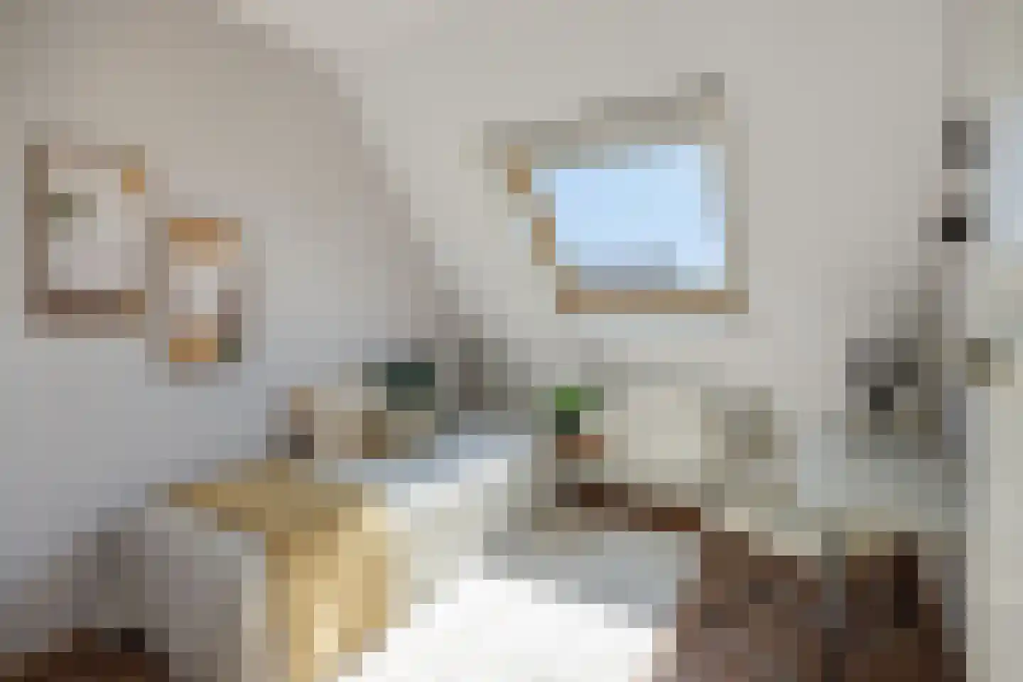 Deken van Roestellaan 35 E Rosmalen thumbnail 18