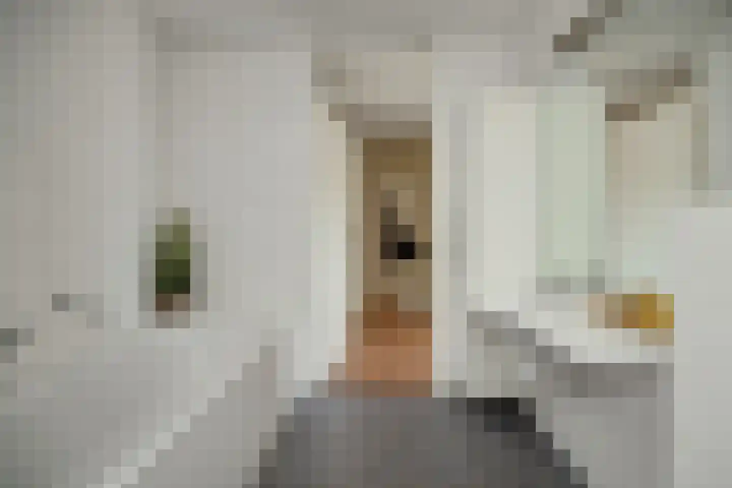 Deken van Roestellaan 35 E Rosmalen thumbnail 20