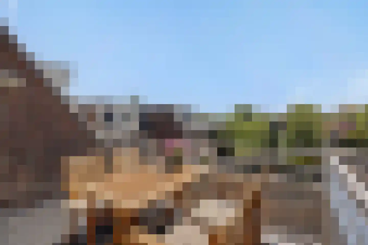 Deken van Roestellaan 35 E Rosmalen thumbnail 23