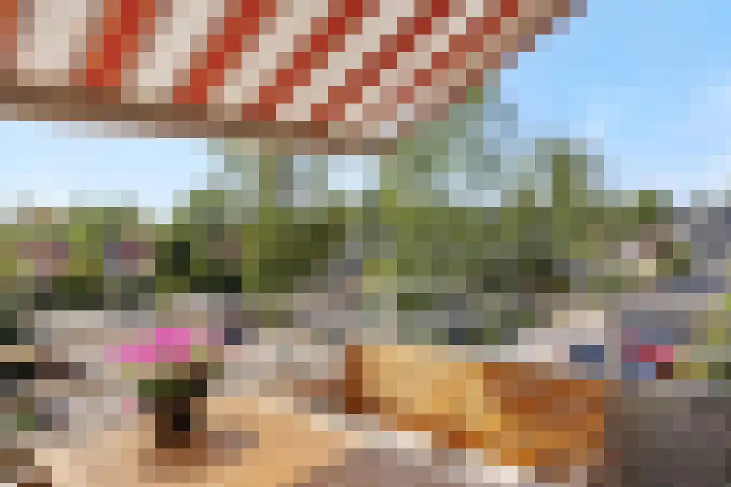 Deken van Roestellaan 35 E Rosmalen thumbnail 24