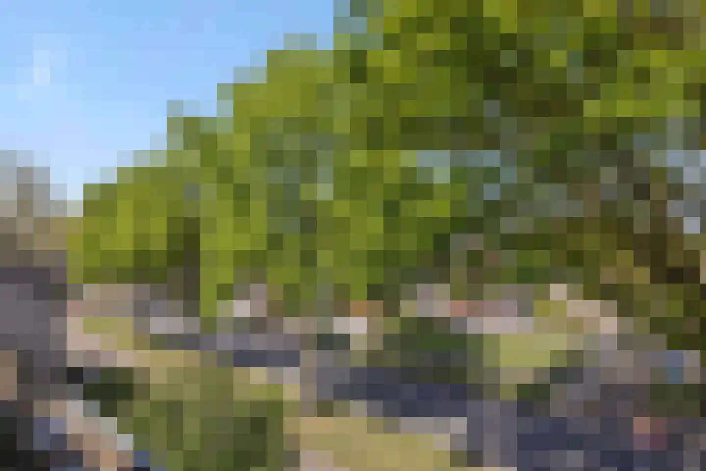 Deken van Roestellaan 35 E Rosmalen thumbnail 25