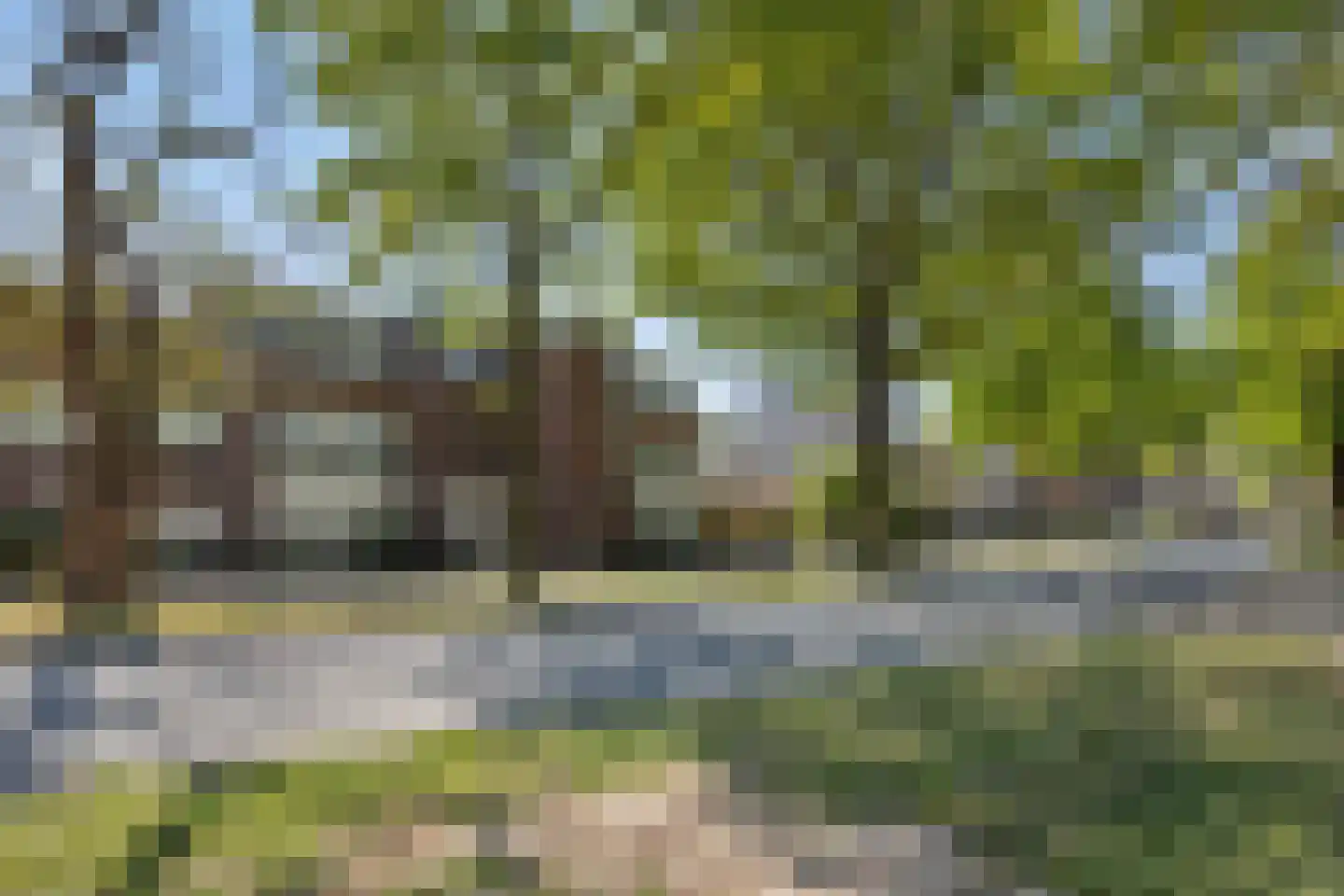 Deken van Roestellaan 35 E Rosmalen thumbnail 31